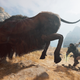 Image for article titled The End Of Assassin's Creed Odyssey Is Finally Within My Reach